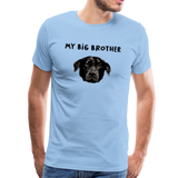 Big Brother Männer Premium T-Shirt - Sky
